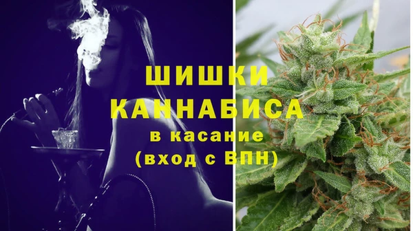 МДПВ Абаза