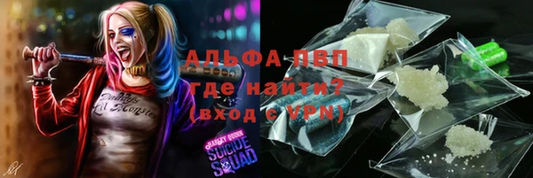МДПВ Абаза